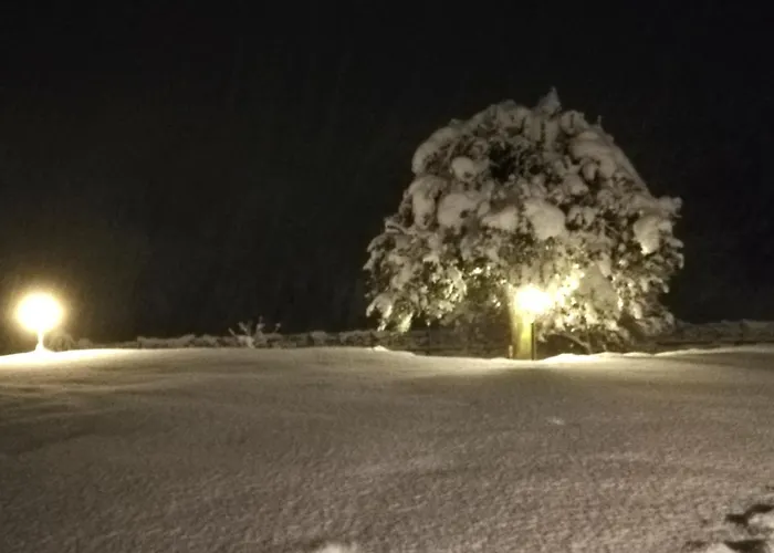 I Tulipani Appartement