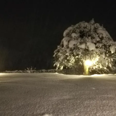 I Tulipani Апартаменты