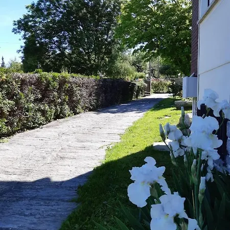 I Tulipani * Стреза